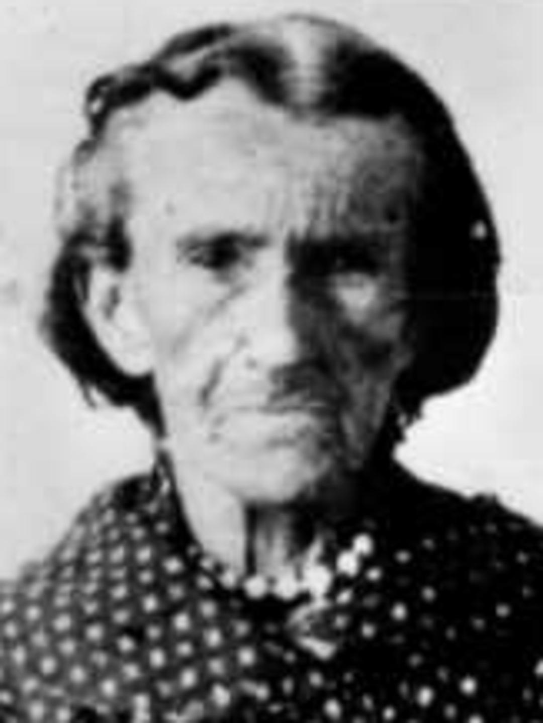 Mehitable Wells (1787 - 1869) Profile